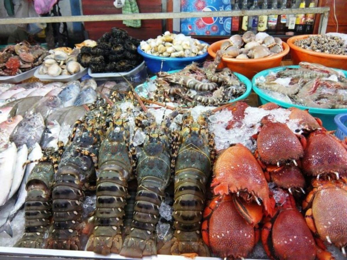 Buổi tối khám phá chợ đêm Hạ Long và thưởng thức hải sản tại khu vực Bãi Cháy. (Nguồn: Sưu tầm)