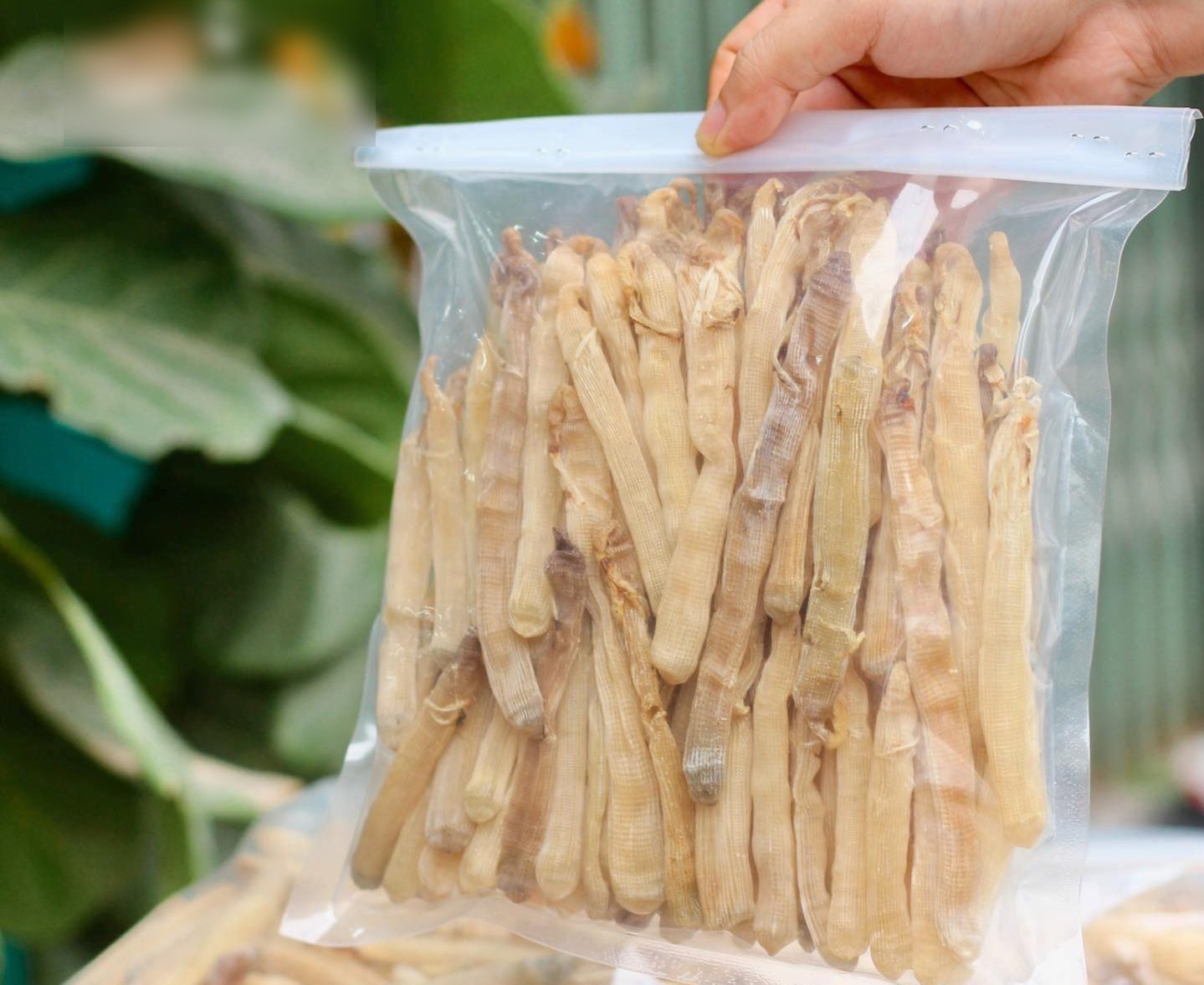 Đóng gói hút chân không bảo quản lâu dài thuận tiện.
