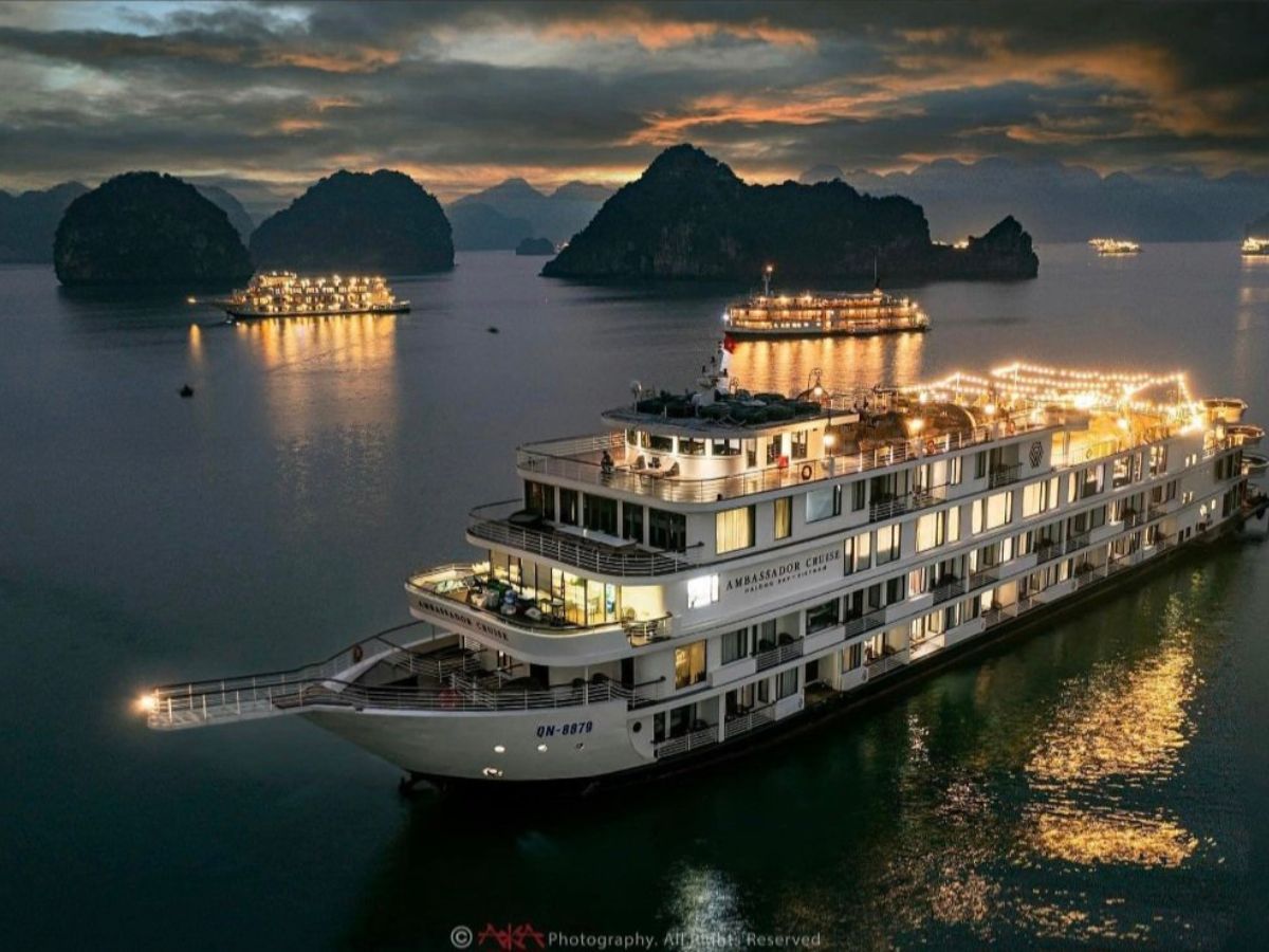 Trải nghiệm tour du thuyền ăn tối và chiêm ngưỡng Vịnh Hạ Long về đêm.