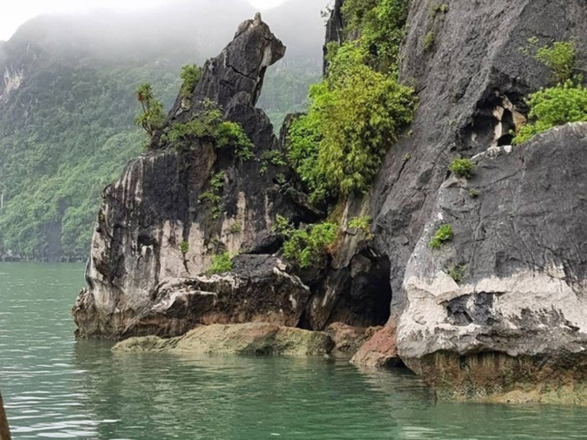 Hòn Chó Đá Quảng Ninh với hình dáng độc đáo giữa biển trời Hạ Long.