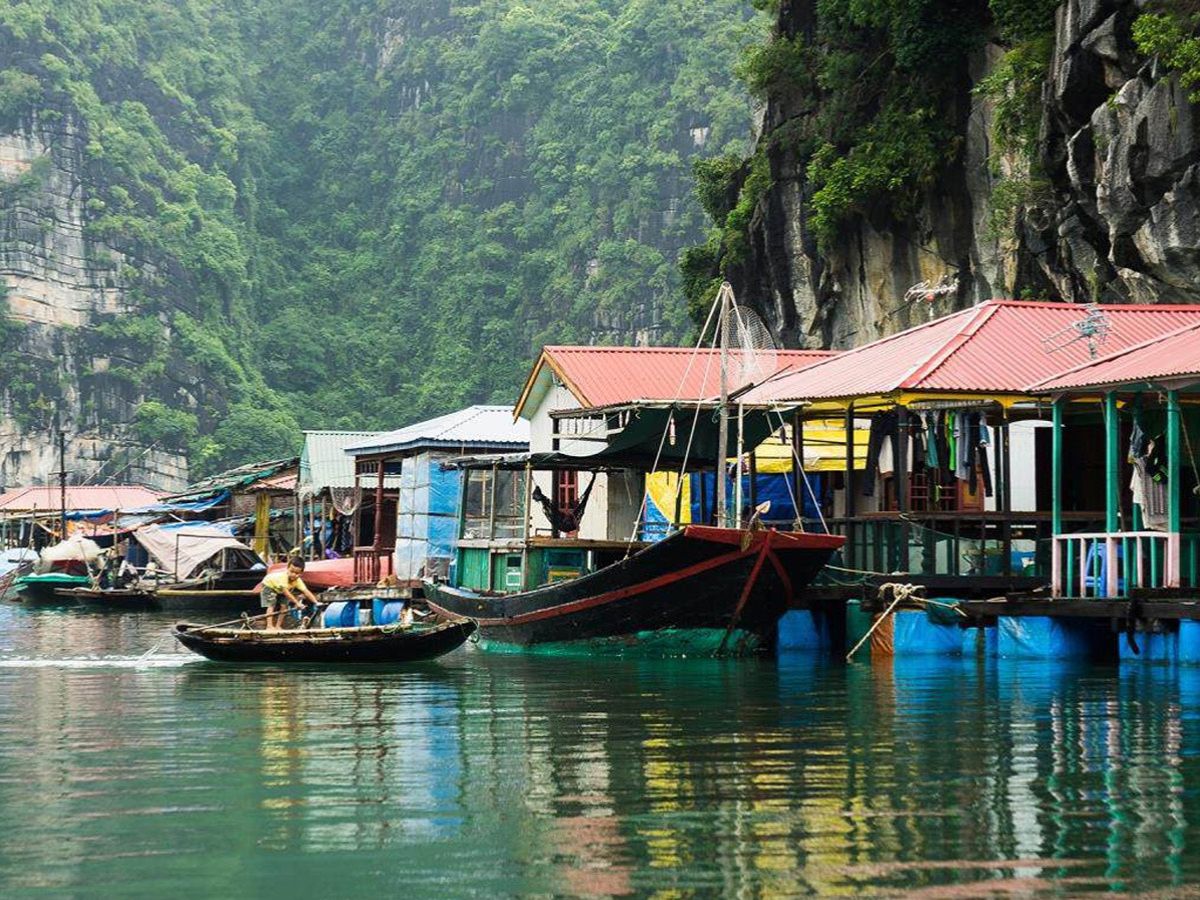 Bến tàu đưa du khách khám phá Hòn Chó Đá – biểu tượng độc đáo của Quảng Ninh.
