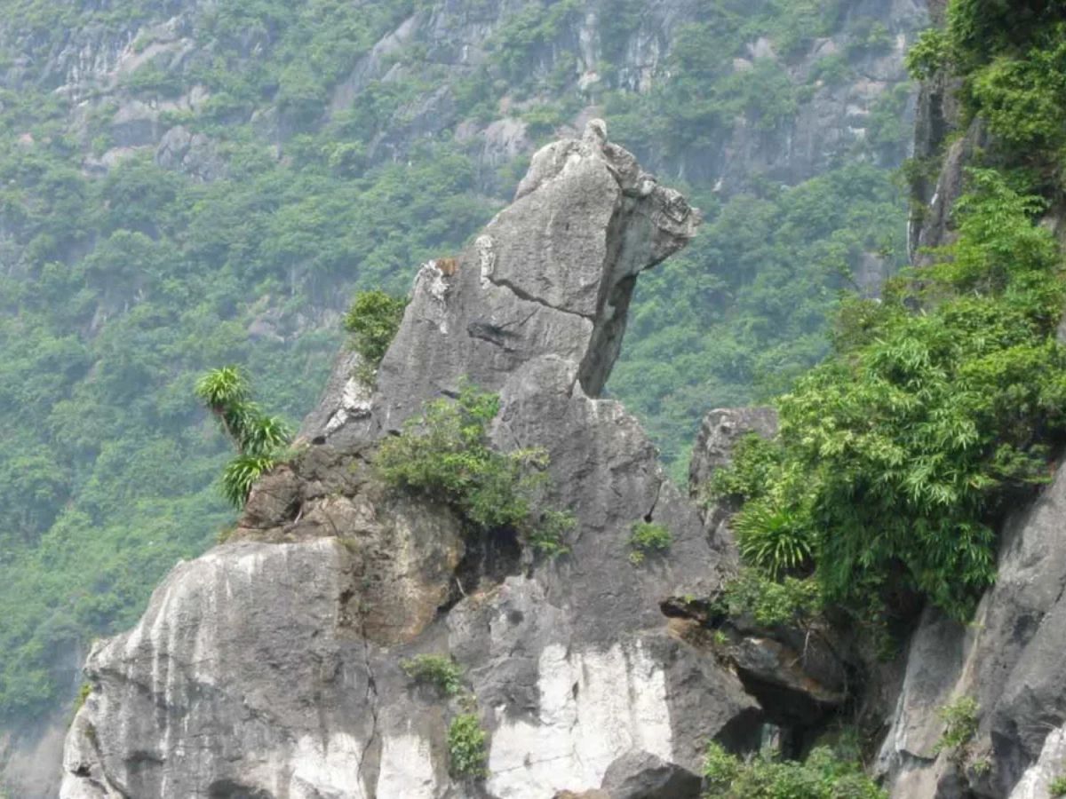 Khám phá Hòn Chó Đá Quảng Ninh – biểu tượng độc đáo giữa vịnh Hạ Long.