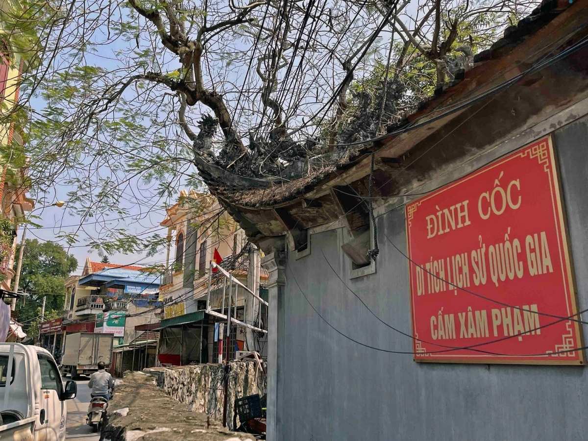 Được bao bọc bởi dòng nước rộng lớn của sông Chanh, Đảo Hà Nam là một bãi bồi phù sa cổ tọa lạc tại Quảng Yên, tỉnh Quảng Ninh.