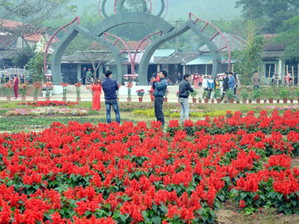 Thời gian đẹp nhất để đến du lịch Quảng La là vào mùa xuân (tháng 3-5) hoặc mùa thu (tháng 9-11).