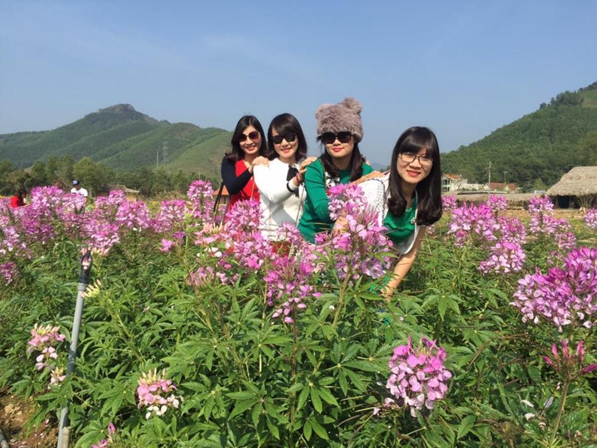 Cánh đồng hoa trải rộng trên nền đất nông nghiệp xanh, tạo nên cảnh quan ngoạn mục và đầy chất thơ tại Thiên đường hoa Quảng La.