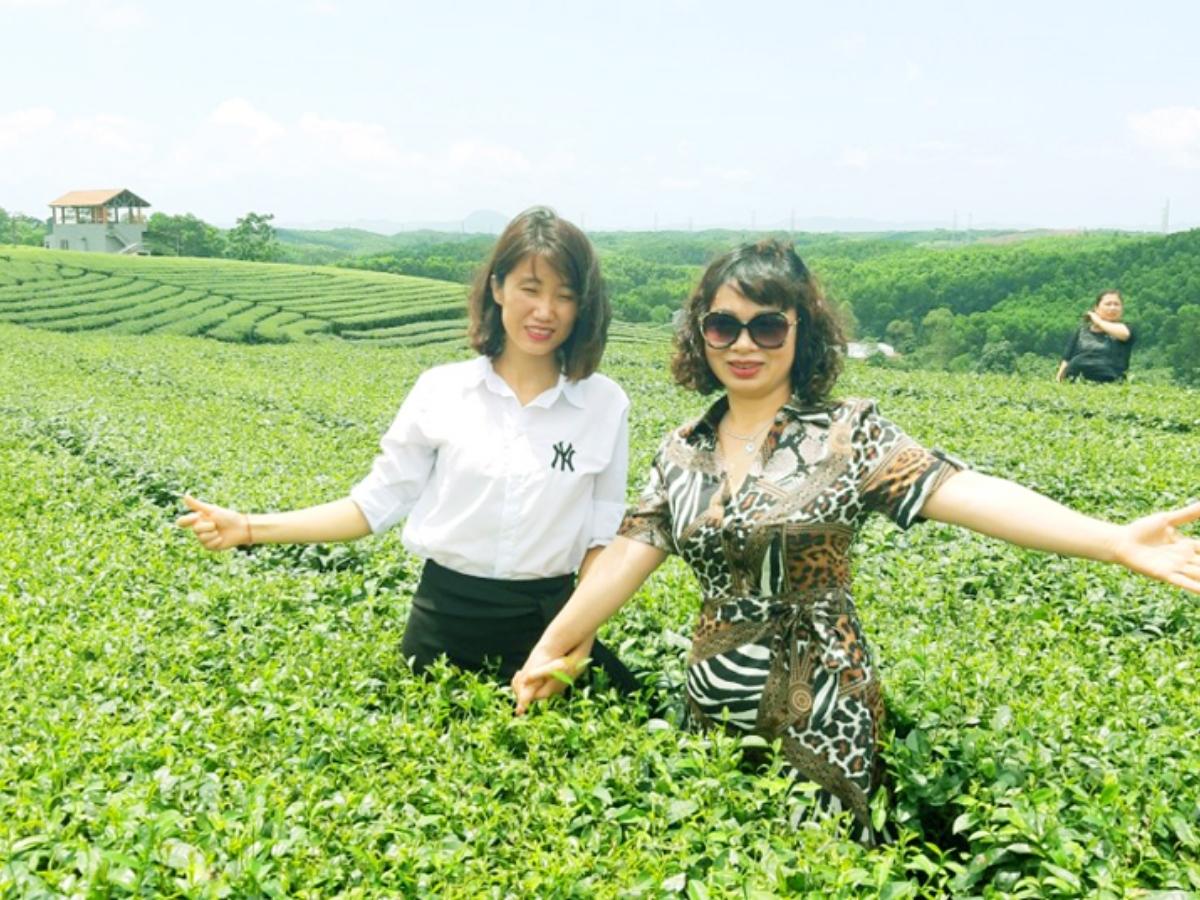 Đường di chuyển từ Hải Hà hoặc Đầm Hà đến đồi chè Quảng Long