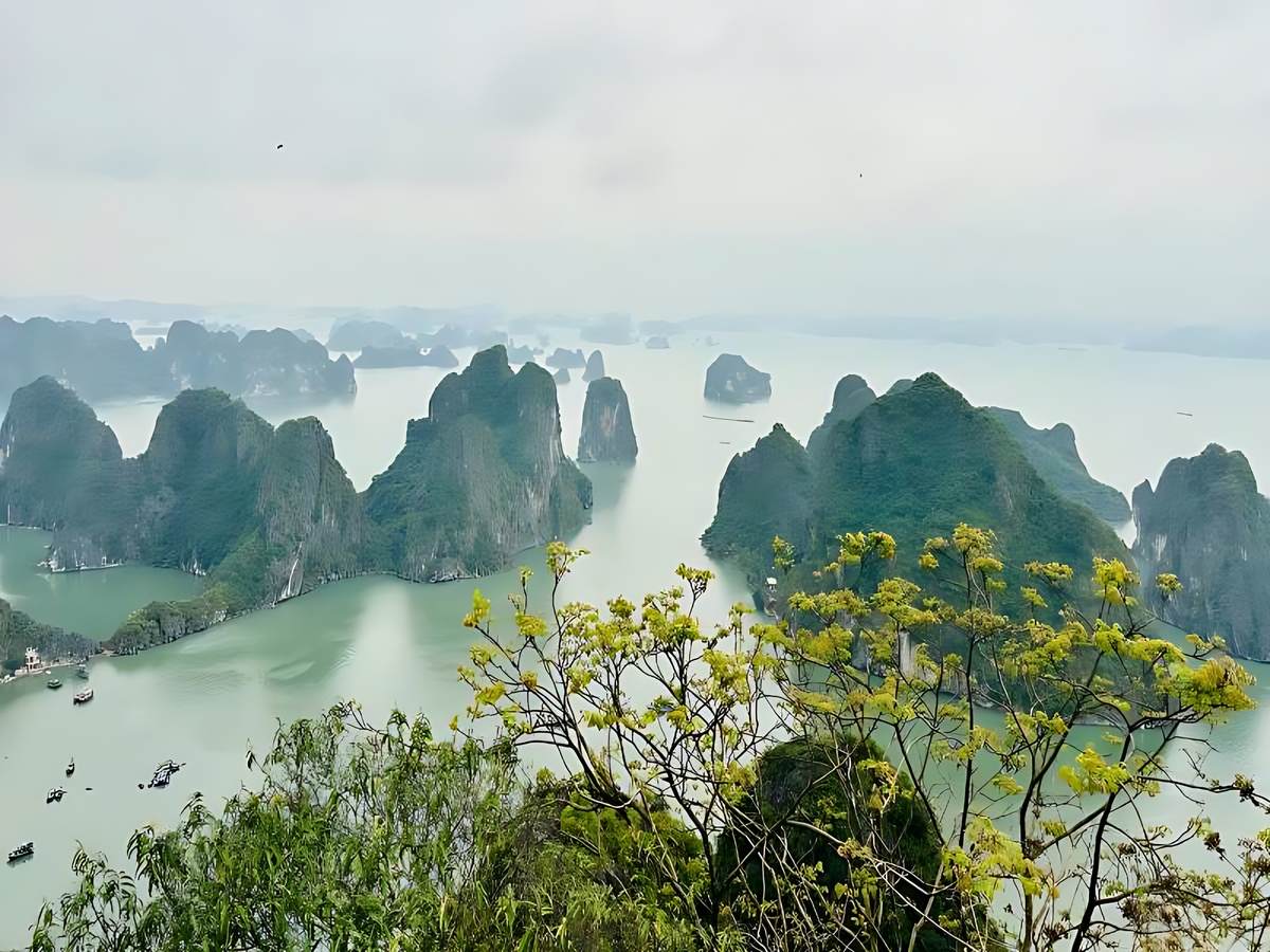 Núi Bài Thơ với tầm nhìn toàn cảnh vịnh Hạ Long