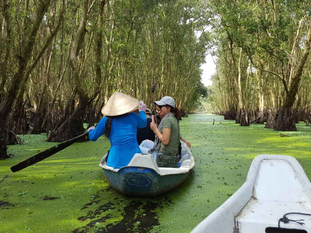 Trải nghiệm ngồi thuyền đi qua những cánh rừng chỉ có tại khu vực miền Tây Nam Bộ.