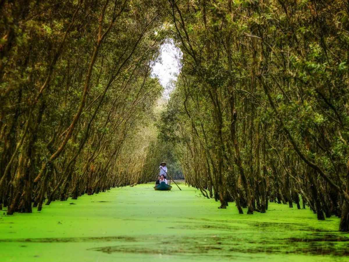 Đường đi và cây cối trong rừng tràm ngập bên trong nước mỗi khi mùa nước nổi về