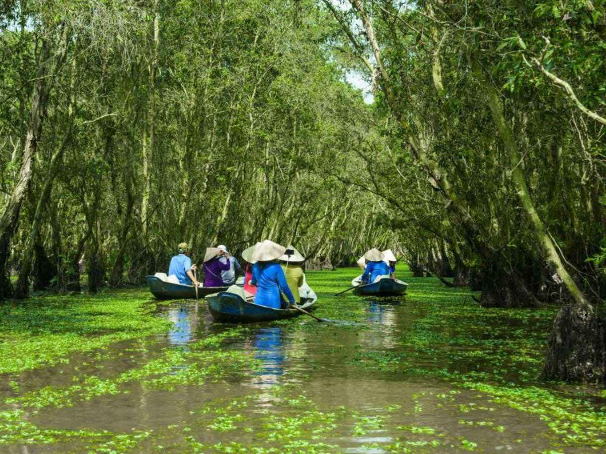 Những khu rừng tràm tại miền Tây mang một màu xanh đặc trưng.