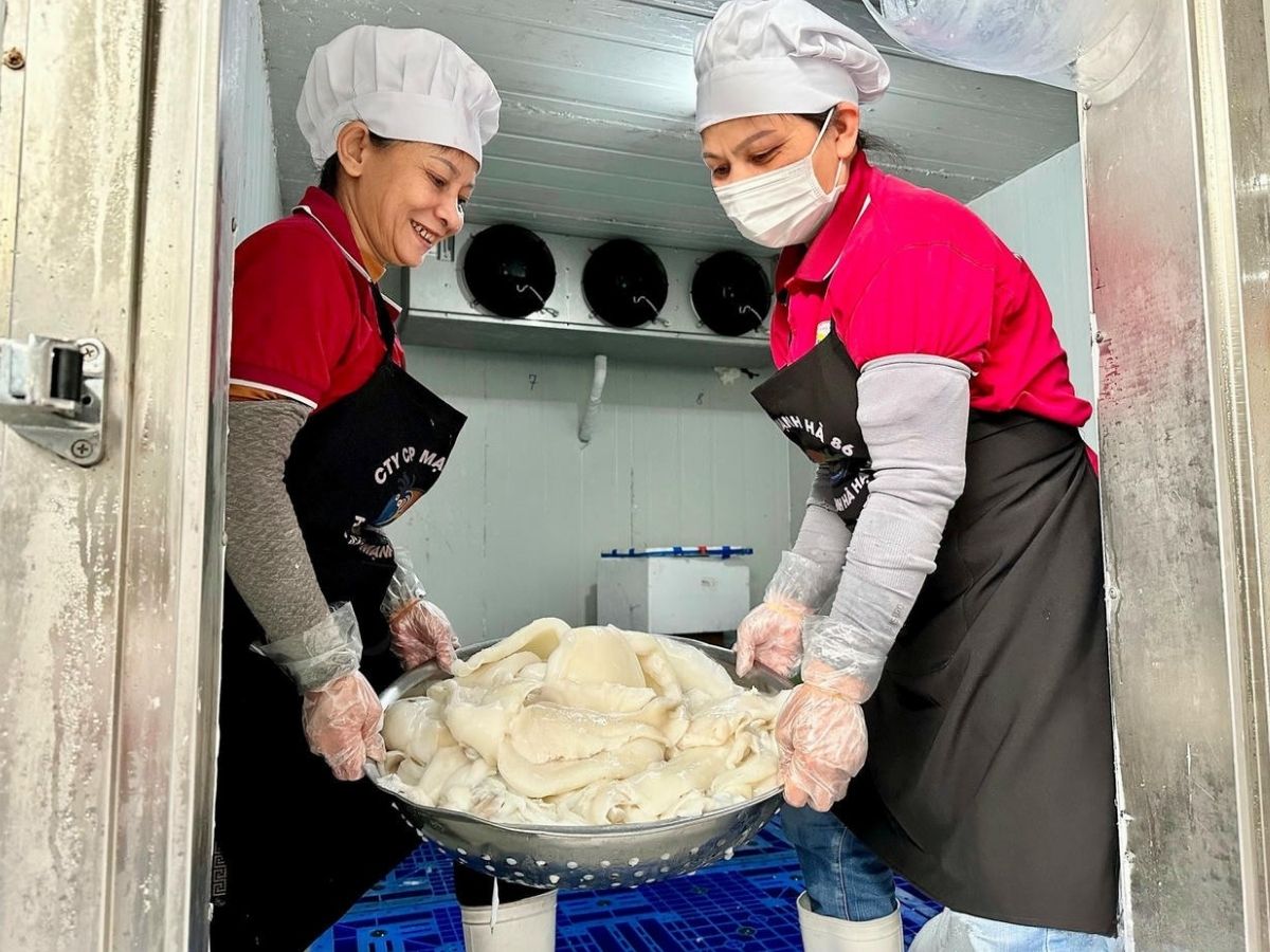 Kết cấu thịt mực mai Hạ Long cũng dày và chắc hơn, tạo ra độ dai giòn tự nhiên khi chế biến thành chả.