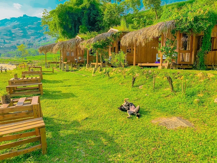 Không gian bình yên của homestay Utopia Eco Lodge.