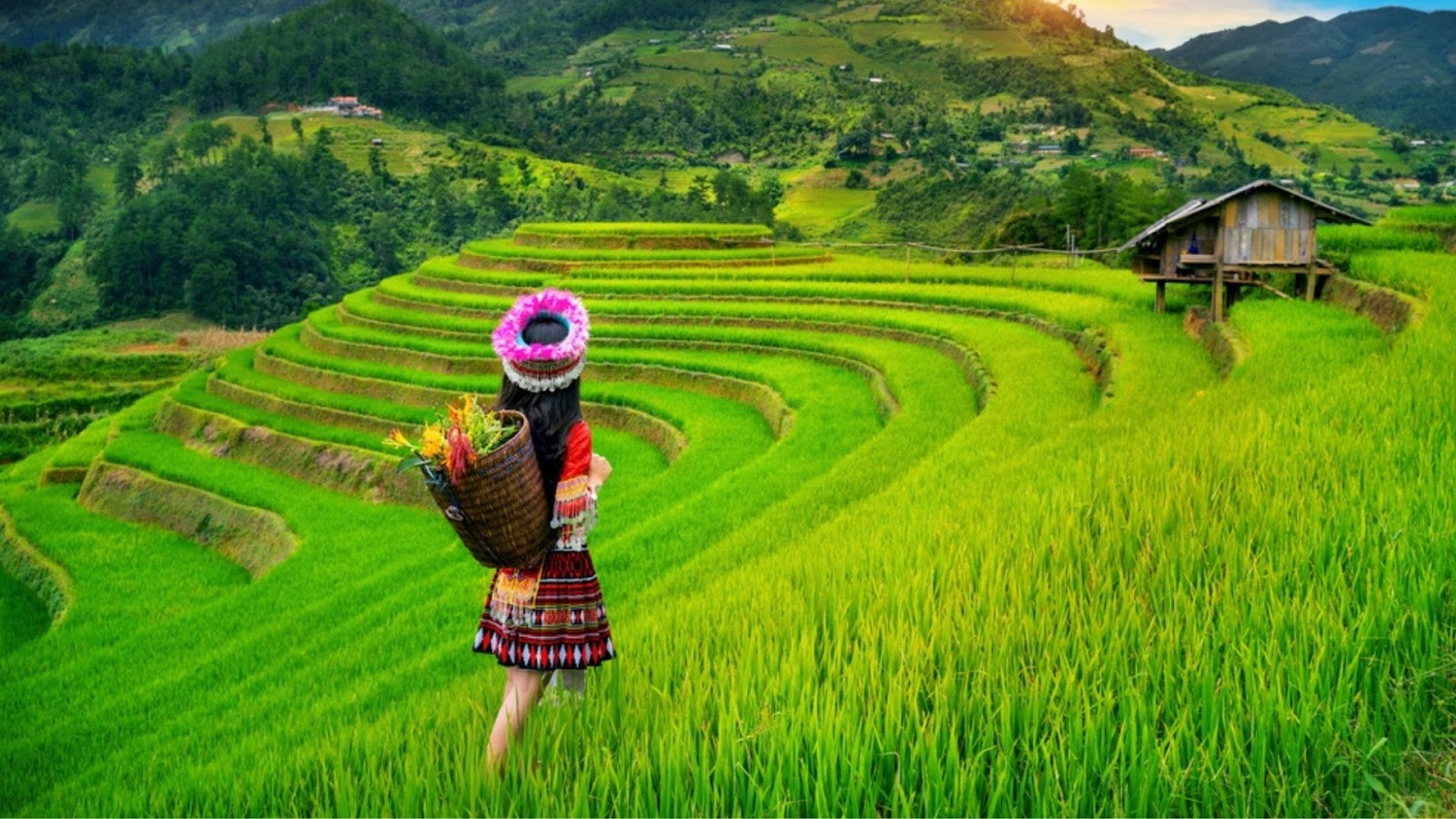 Ruộng bậc thang bát ngát là điểm níu chân du khách khi đến Sa Pa.