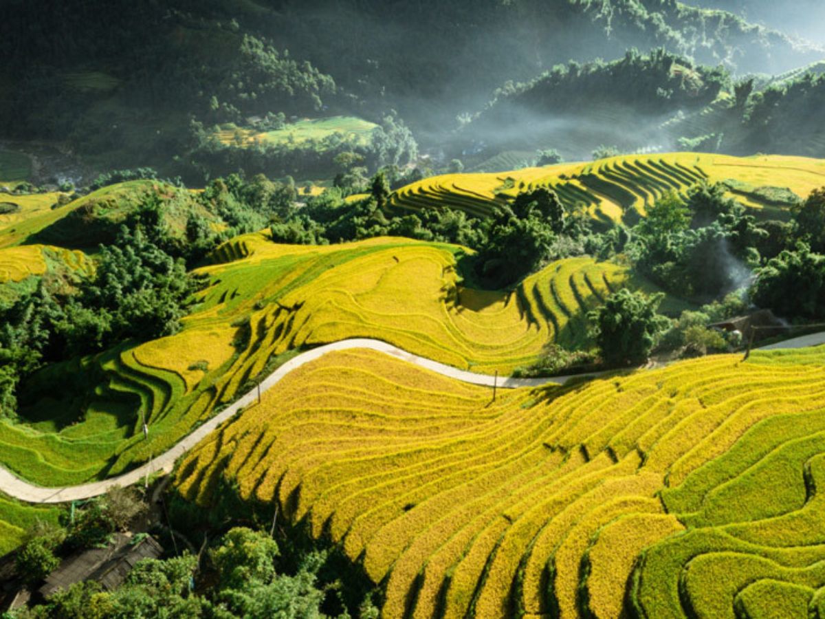 Mỗi mùa, Sapa sẽ đều đến một vẻ đẹp khác nhau làm lay động lòng người.