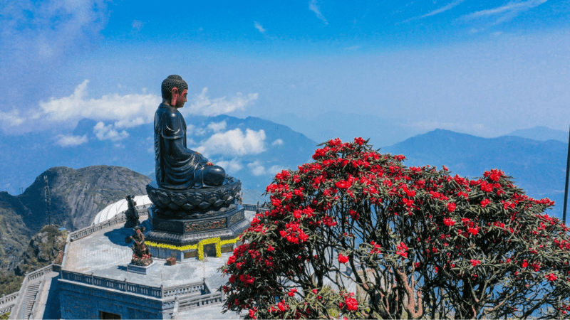Great Amitabha Buddha statue on a mountain peak over 3,000 m.