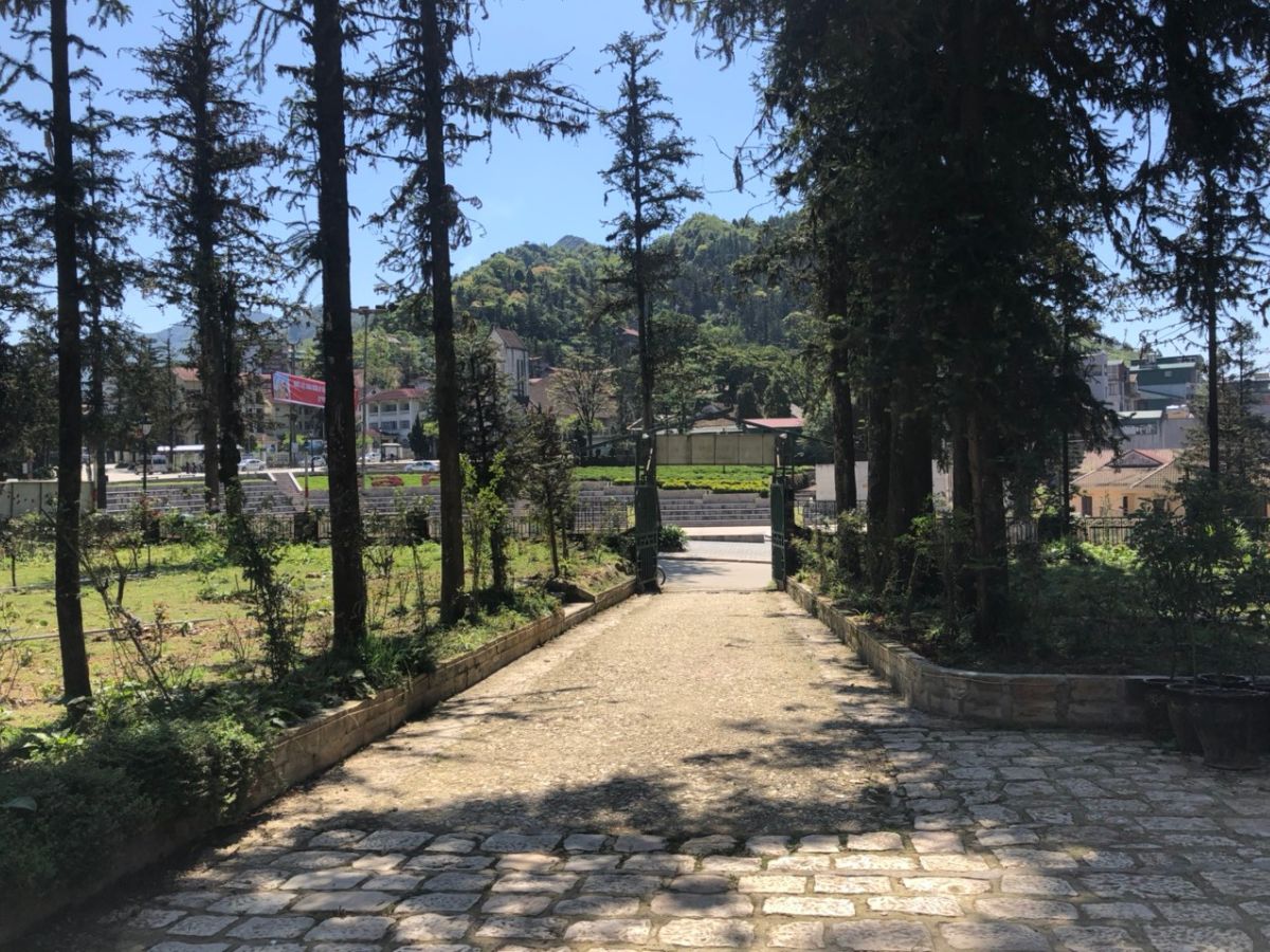 Đường dẫn vào bảo tàng với hai hàng cây xanh tốt nằm dọc hai bên.