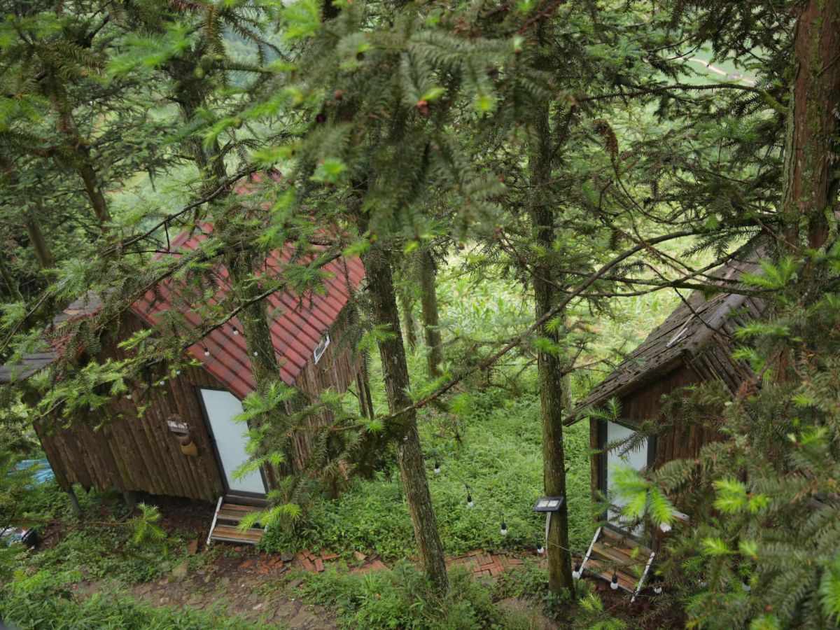 Nhiều loại phòng nghỉ tại The Coong Homestay & Café Sapa