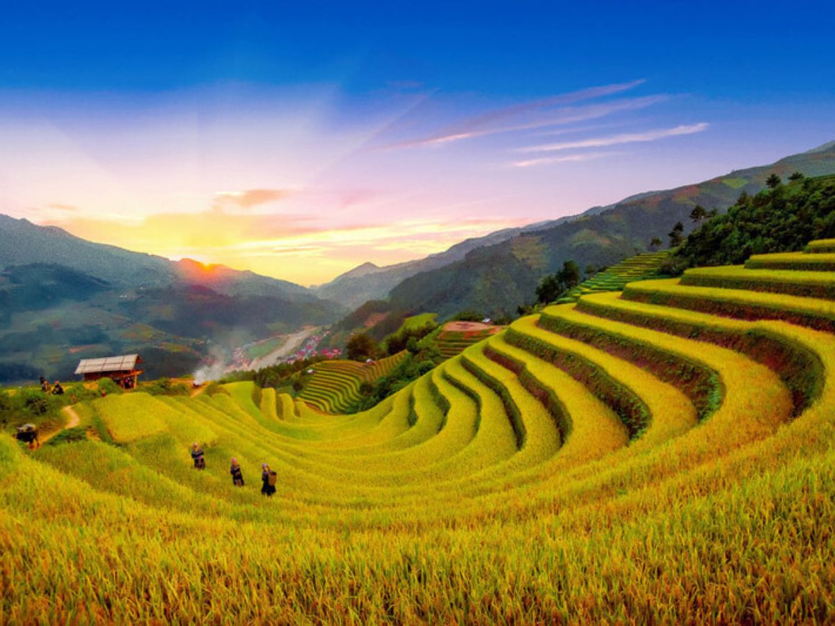 Ruộng bậc thang Sapa óng ánh trong mùa nước đổ, phản chiếu mây trời Tây Bắc