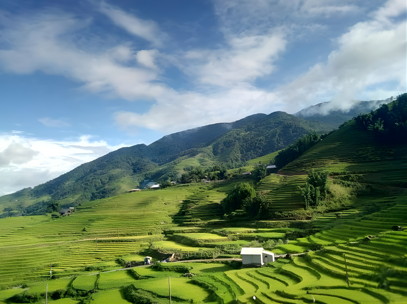 Bản Tả Phìn thu hút du khách bởi khung cảnh ruộng bậc thang trải dài xanh mướt