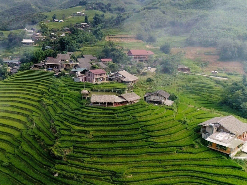 Phơri house bên suối ấm áp và dễ chịu sẽ mang đến cho bạn một trải nghiệm thương mến và khó quên