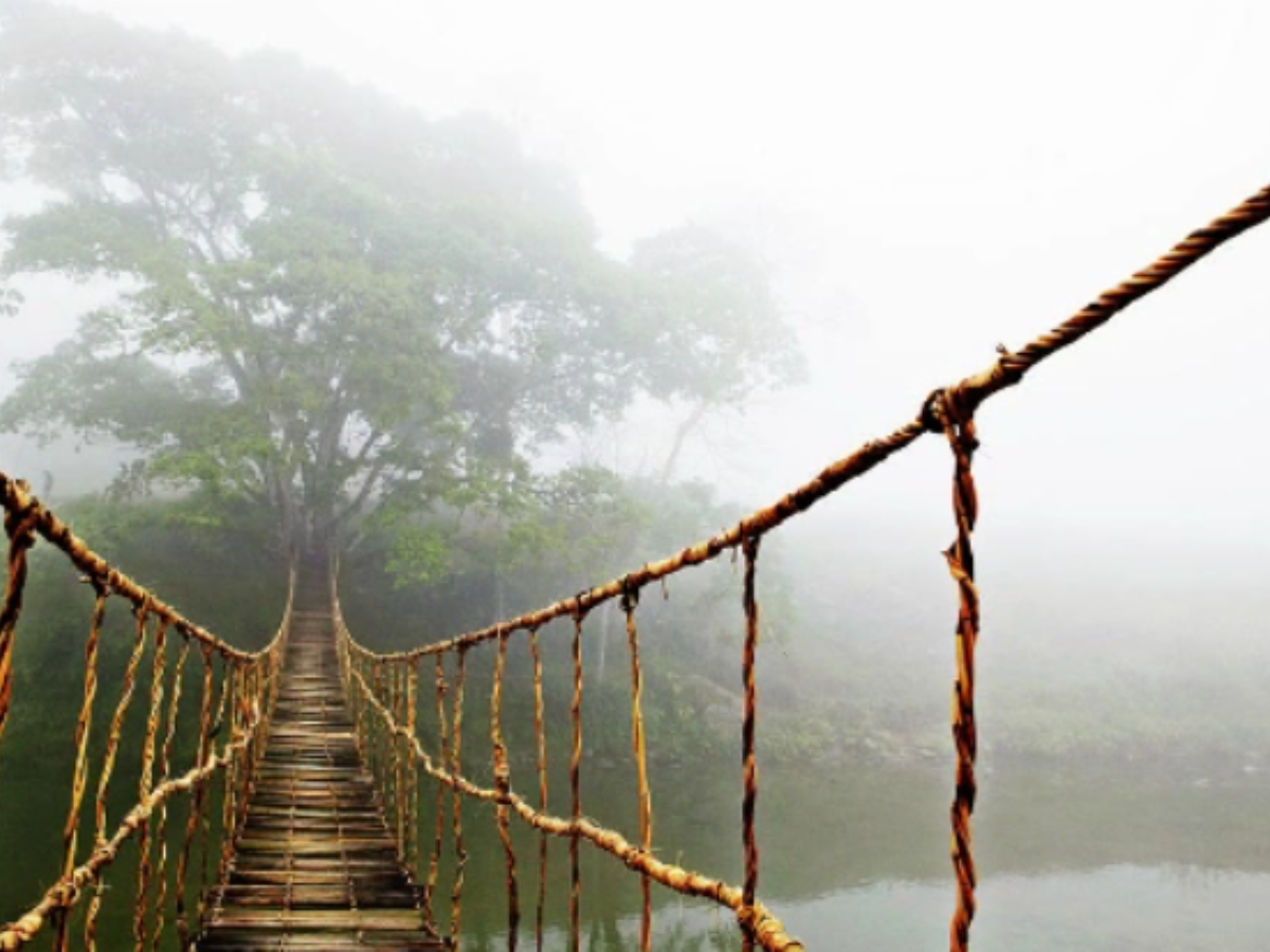 Cầu gỗ Moana Sa Pa là điểm sống ảo giữa mây núi thơ mộng