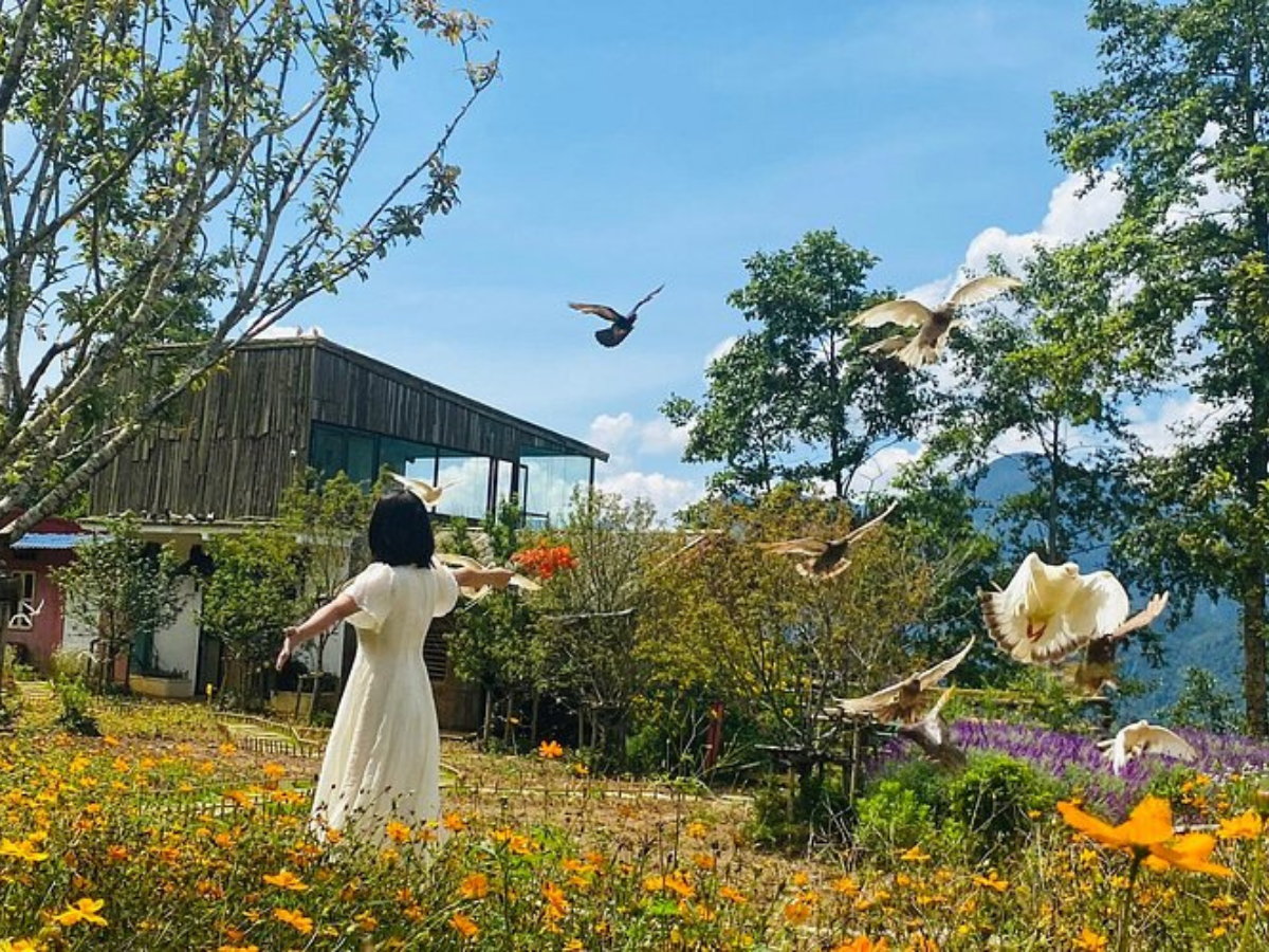 Pơ Mu Sapa có nhiều mức giá khác nhau phù hợp với từng trải nghiệm