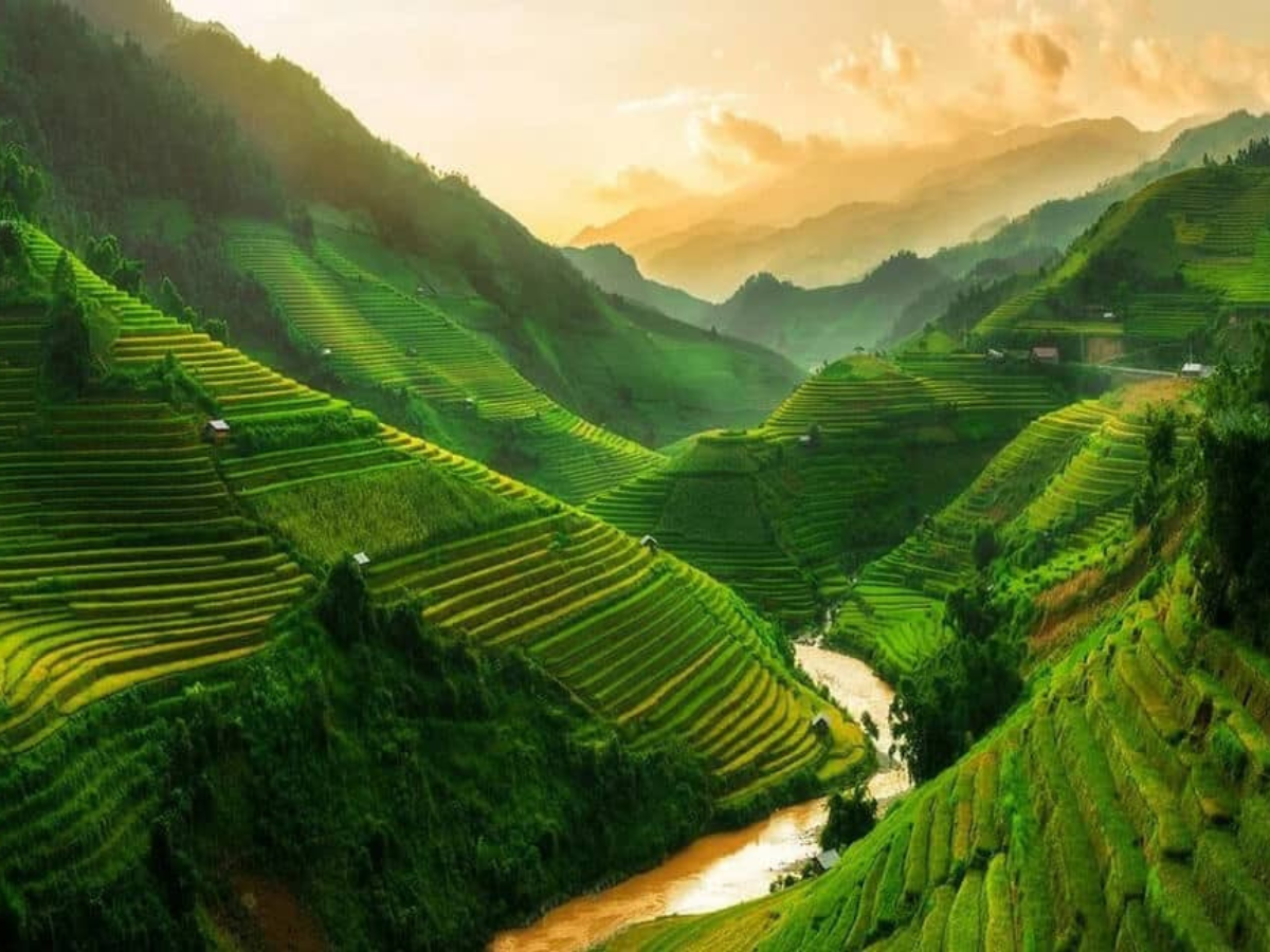 Vườn Quốc gia Hoàng Liên Sơn là kho báu thiên nhiên quý giá của vùng Tây Bắc