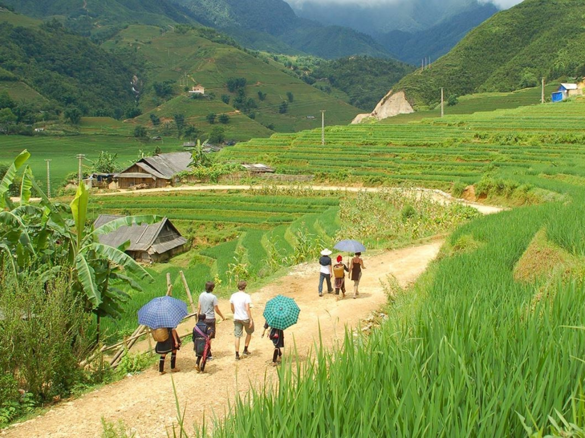 Bản Ý Linh Hồ nằm yên bình giữa thung lũng Mường Hoa, ôm trọn vẻ bình yên đặc trưng của núi rừng Tây Bắc.