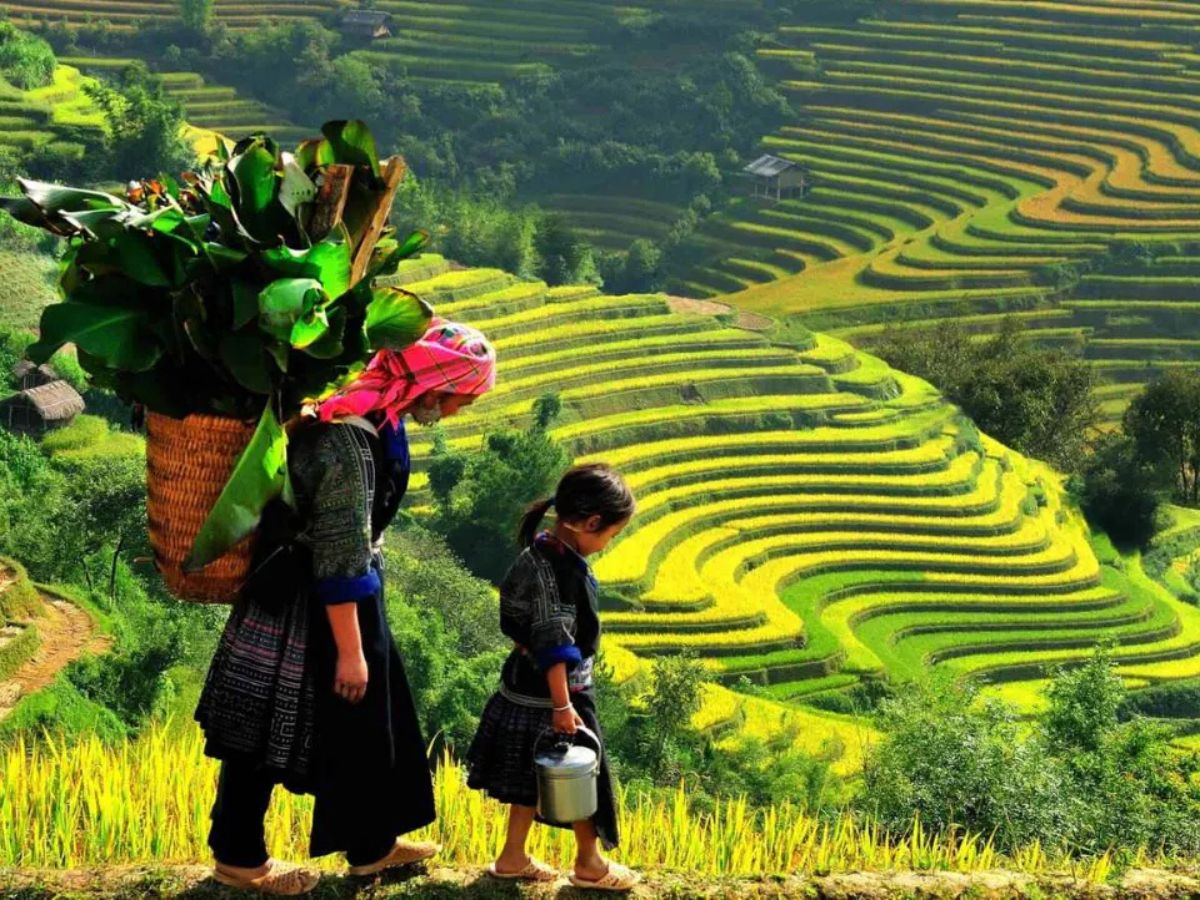 Đường vào bản men theo thung lũng và ruộng bậc thang, cảnh sắc mộc mạc khiến bước chân chậm lại.