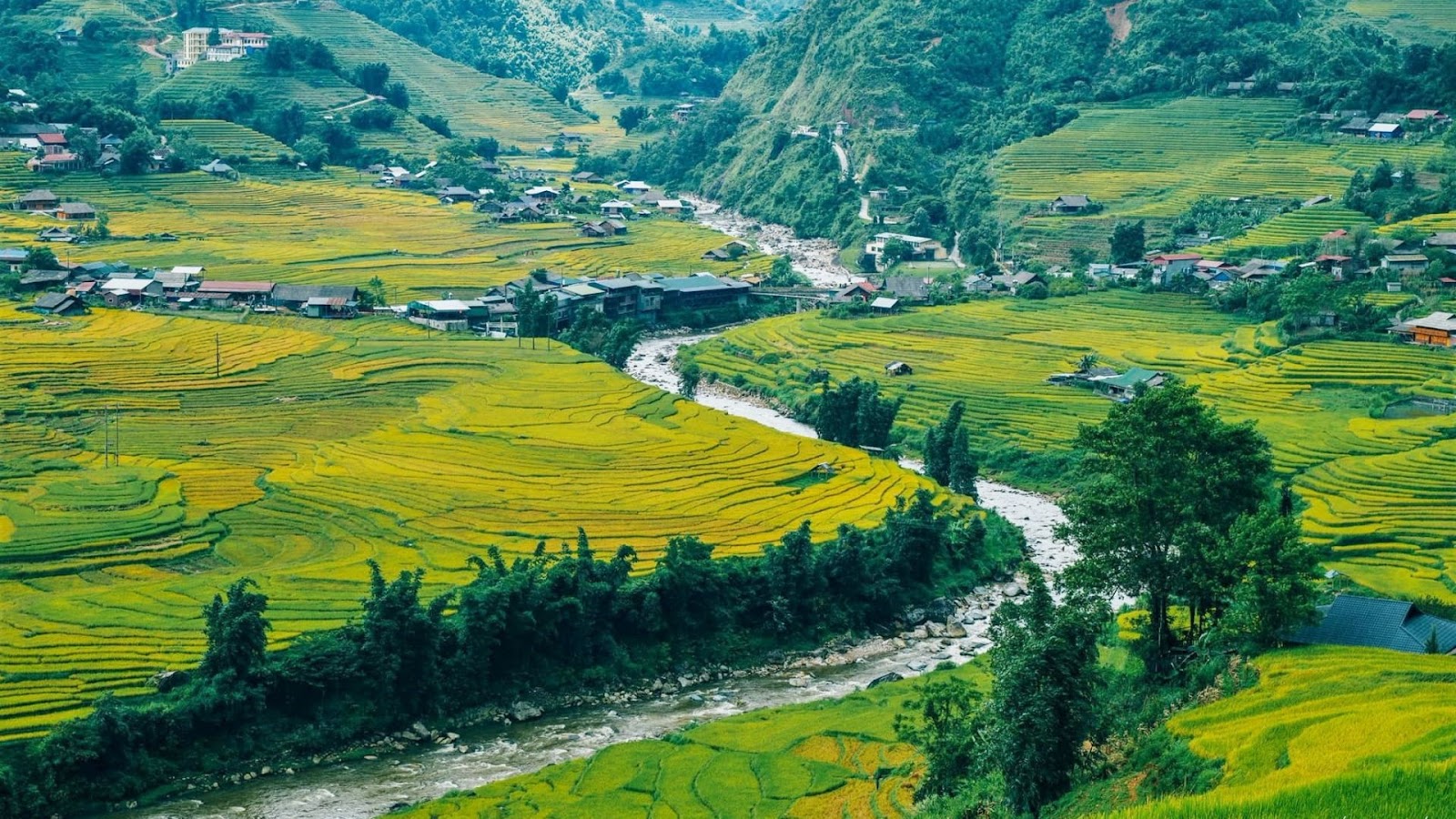 Những nếp nhà dựng sát đồi ruộng bậc thang tại bản Tả Van.