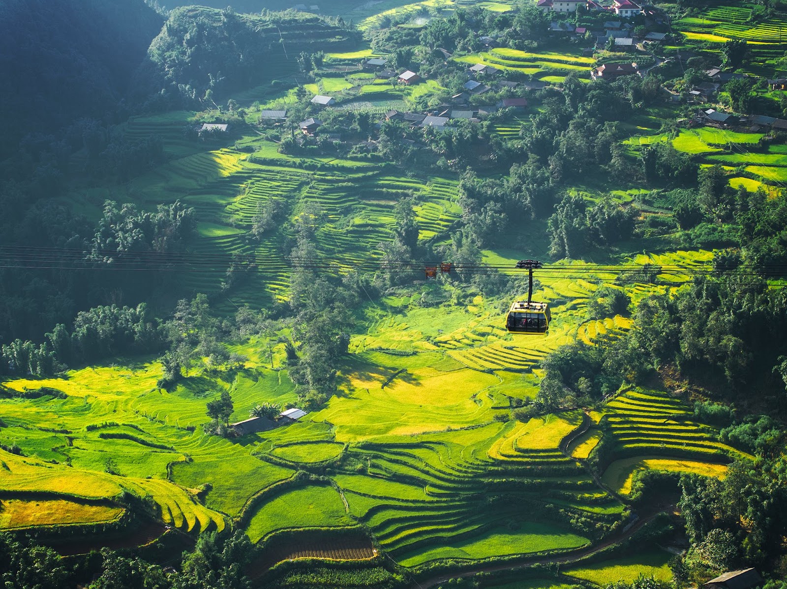 Du khách có thể chiêm ngưỡng cảnh núi rừng hùng vĩ từ cabin cáp treo.