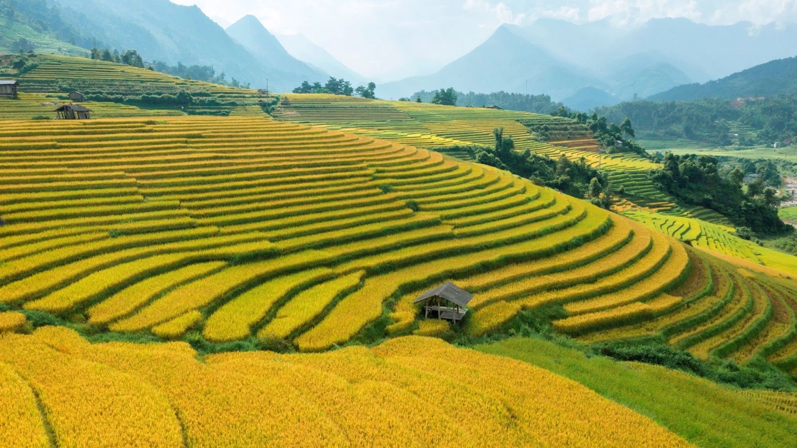 Sa Pa thu hút du khách bởi khung cảnh ruộng bậc thang trù phú.