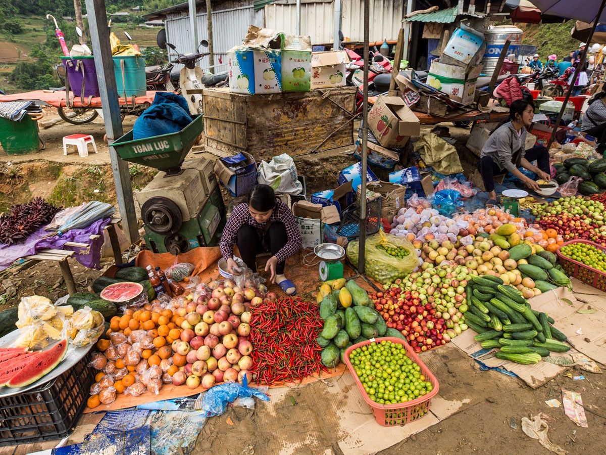 Khám phá nông sản tươi sạch và đa dạng tại chợ Cán Cầu