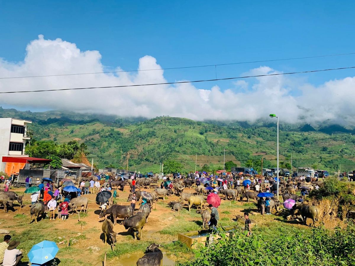 Khung cảnh nhộn nhịp, rực rỡ sắc màu của chợ phiên Sa Pa.