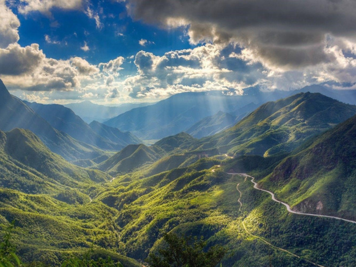 Đèo Ô Quy Hồ ẩn hiện trong sắc vàng rực rỡ