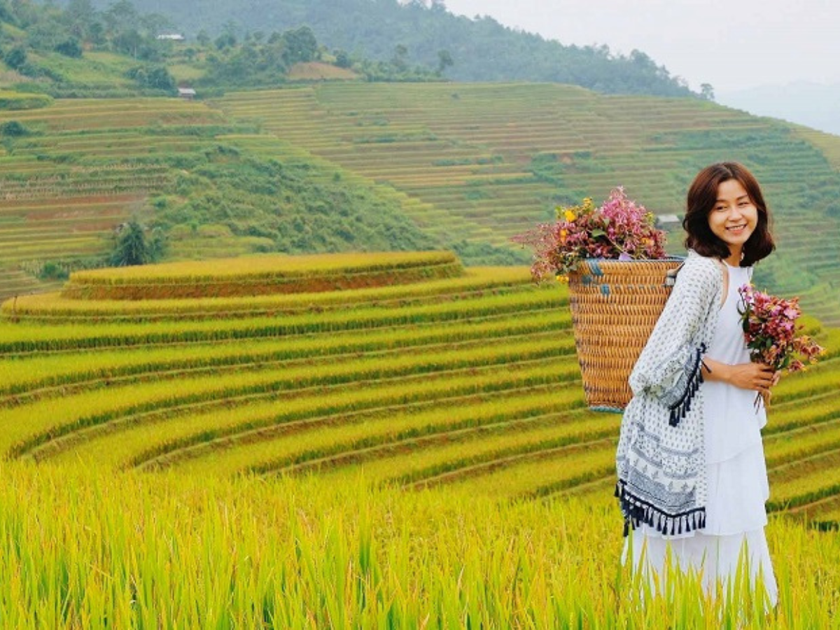 Ruộng bậc thang vàng óng rực sáng giữa núi non Sa Pa.