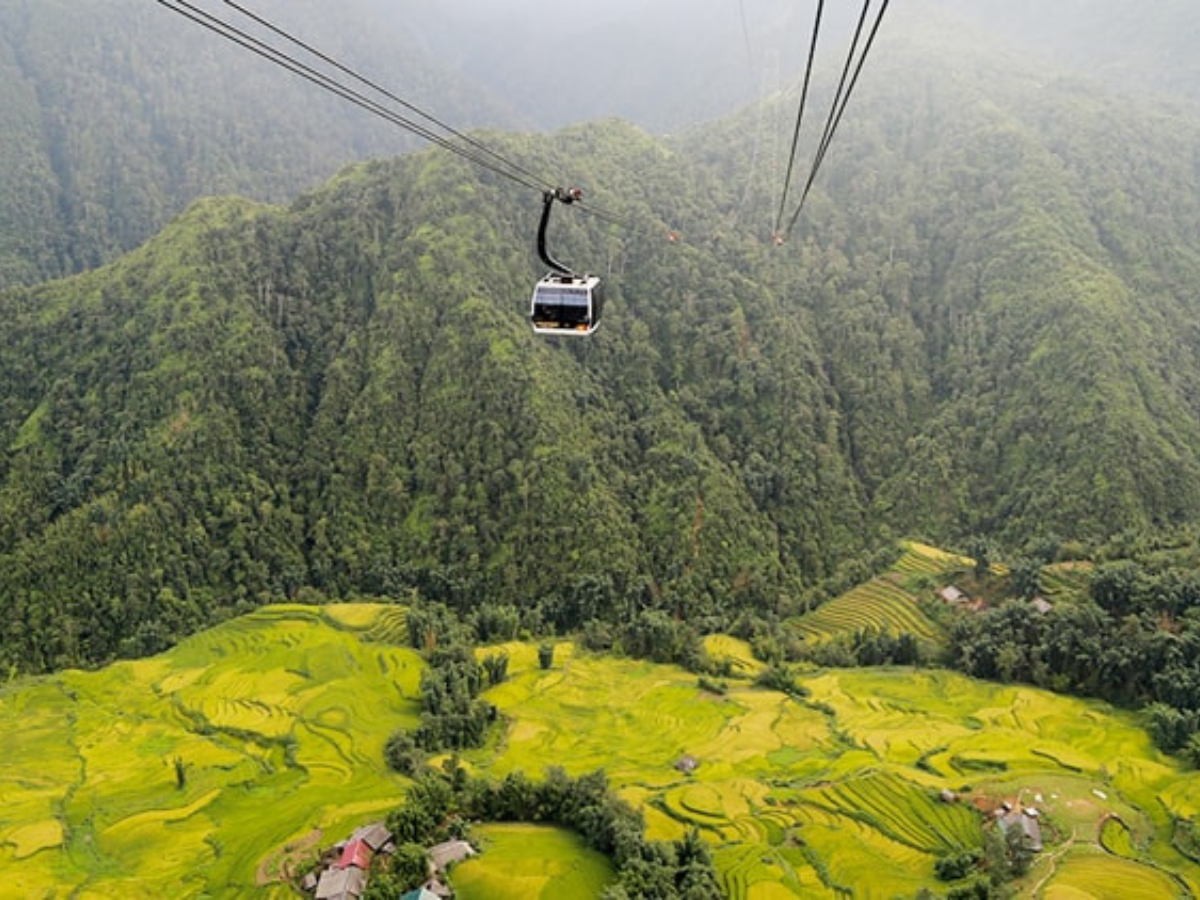 Sun World Fansipan Legend rực rỡ mùa lúa vàng