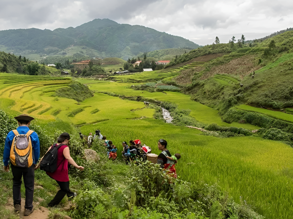 Cung đường Tả Phìn - Lao Chải - Sâu Chua rực rỡ mùa hoa Sa Pa.