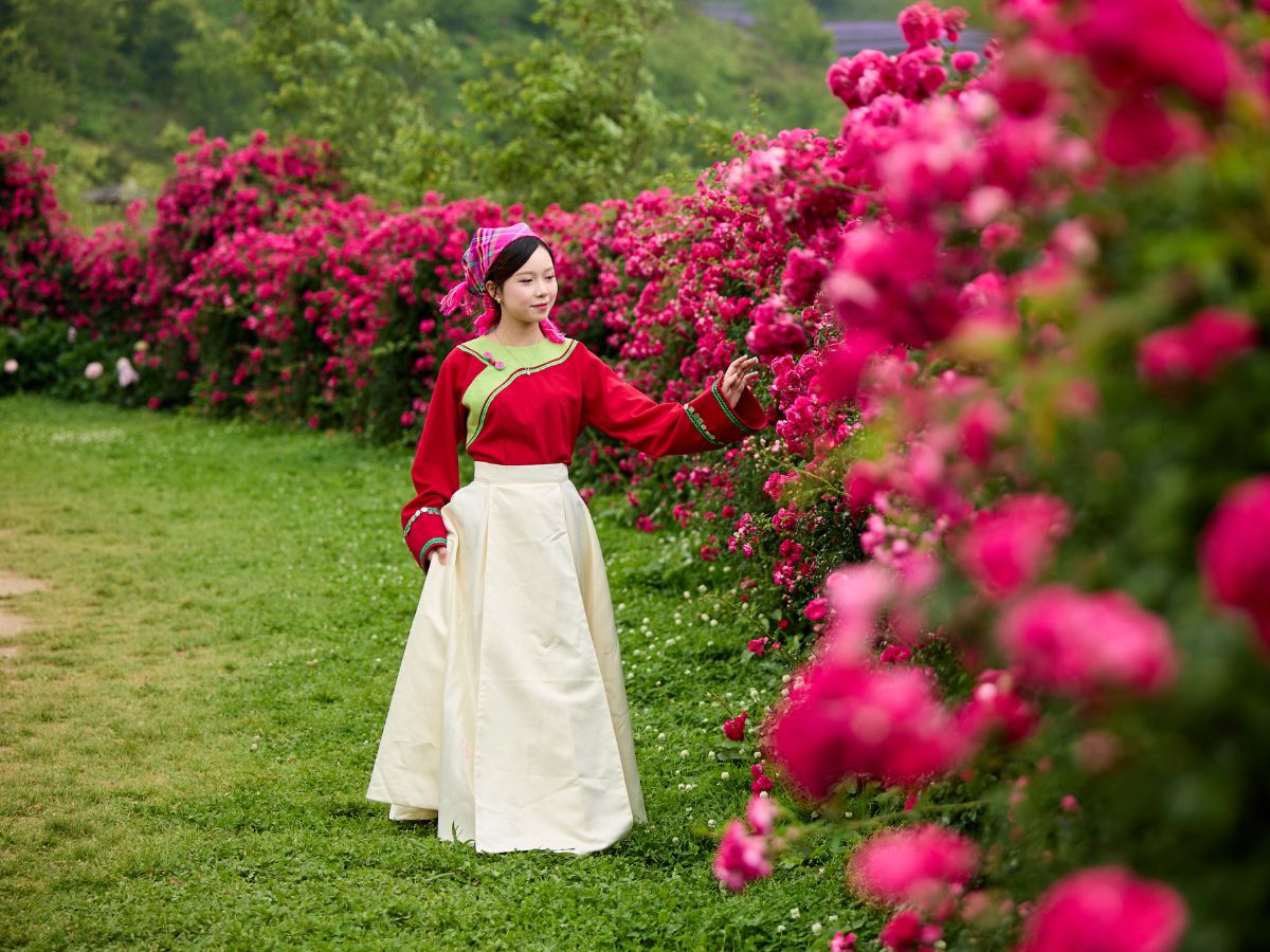 Lưu giữ khoảnh khắc Giáng sinh đầy sắc màu giữa núi rừng Tây Bắc tại Sa Pa.