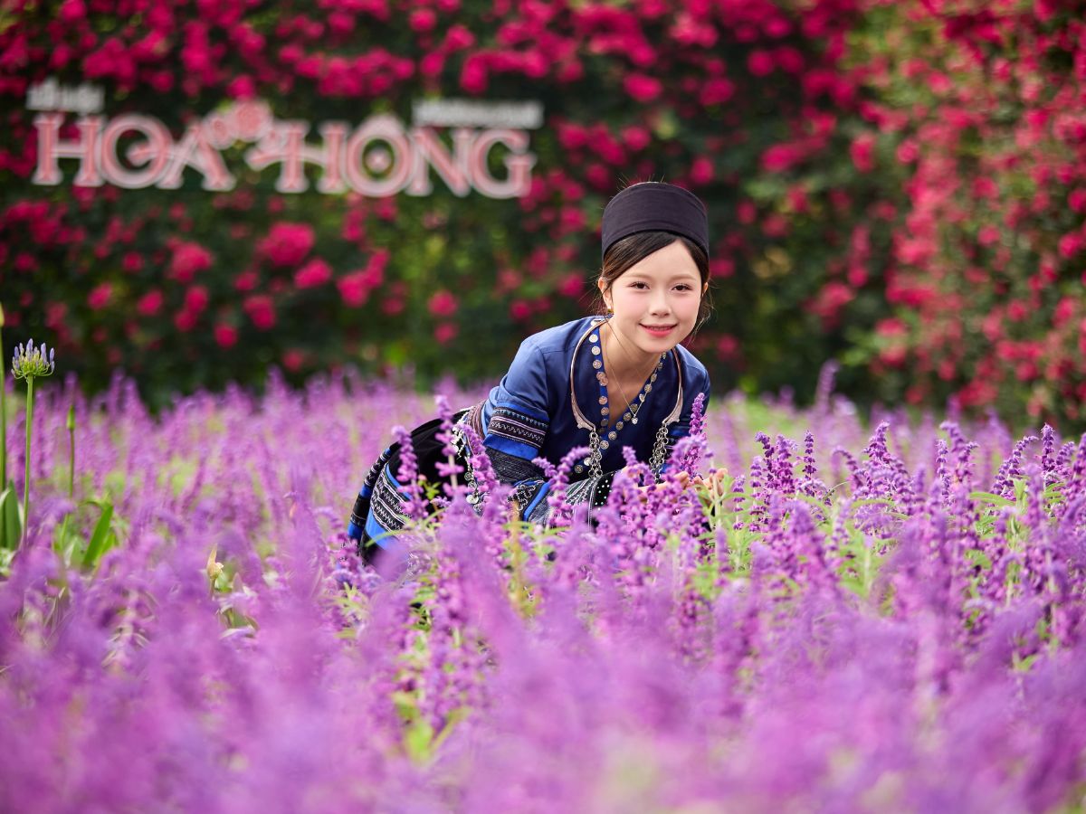 Trải nghiệm trọn vẹn và an toàn tại Sun World Fansipan Legend.