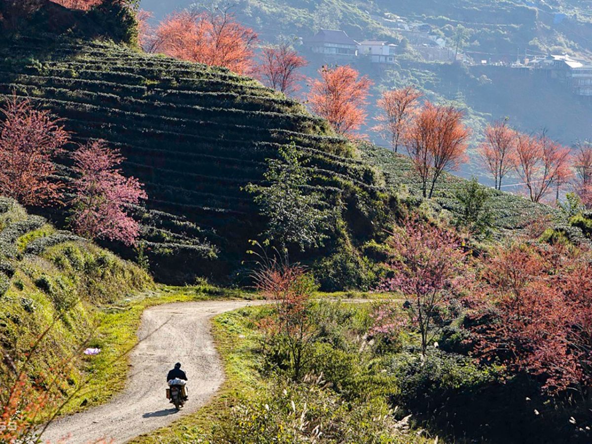 Trải nghiệm khung cảnh hùng vĩ trên cung đường Sa Pa.
