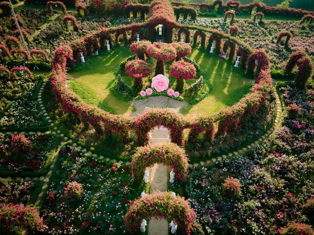 Sa Pa mang đến hành trình mùa đông độc đáo và năm mới đáng nhớ.