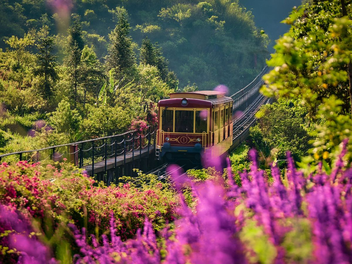 Lưu giữ khoảnh khắc tuyệt đẹp trên hành trình tàu tại Fansipan.