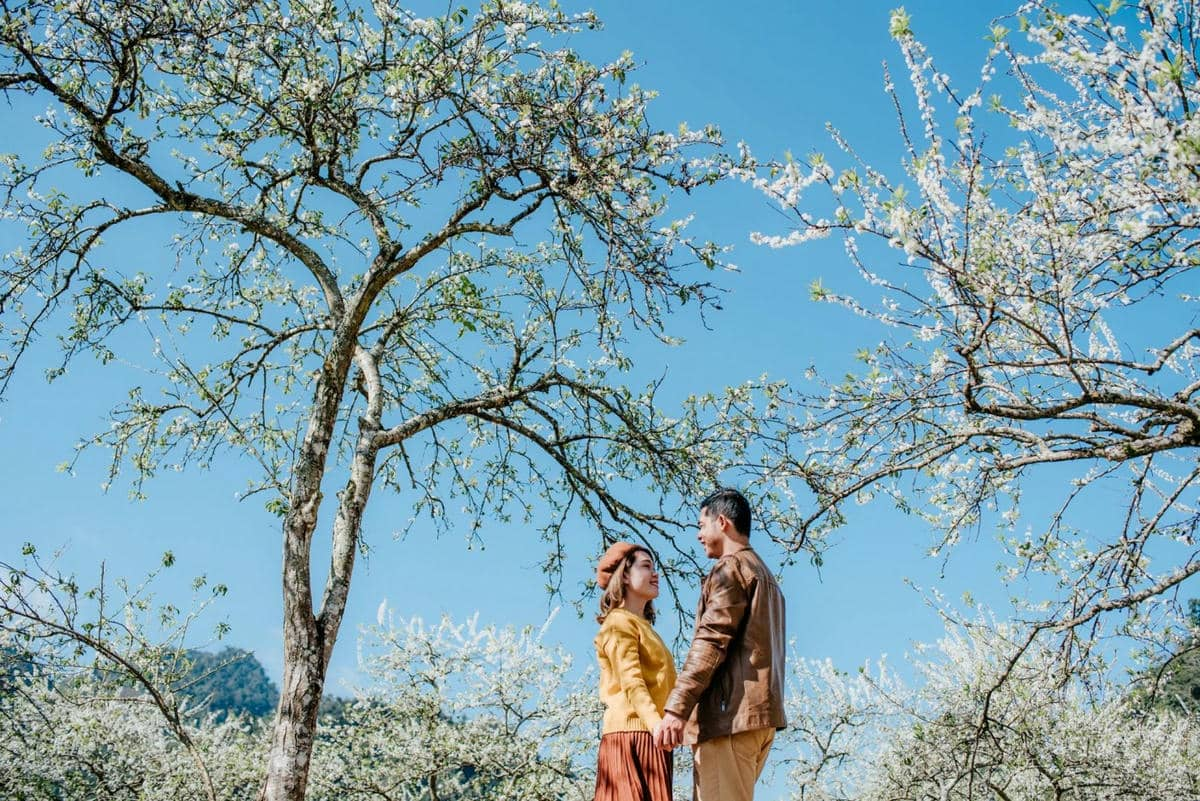 Mùa xuân, hoa đào và hoa mận nở rộ tạo nên phông nền đẹp cho những bức ảnh đầu năm.