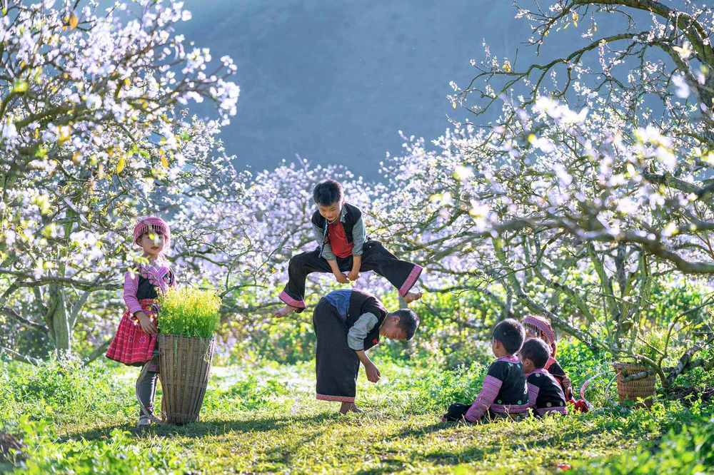 Khung cảnh Tết Nguyên đán rực rỡ tại các bản làng ở vùng cao Sa Pa