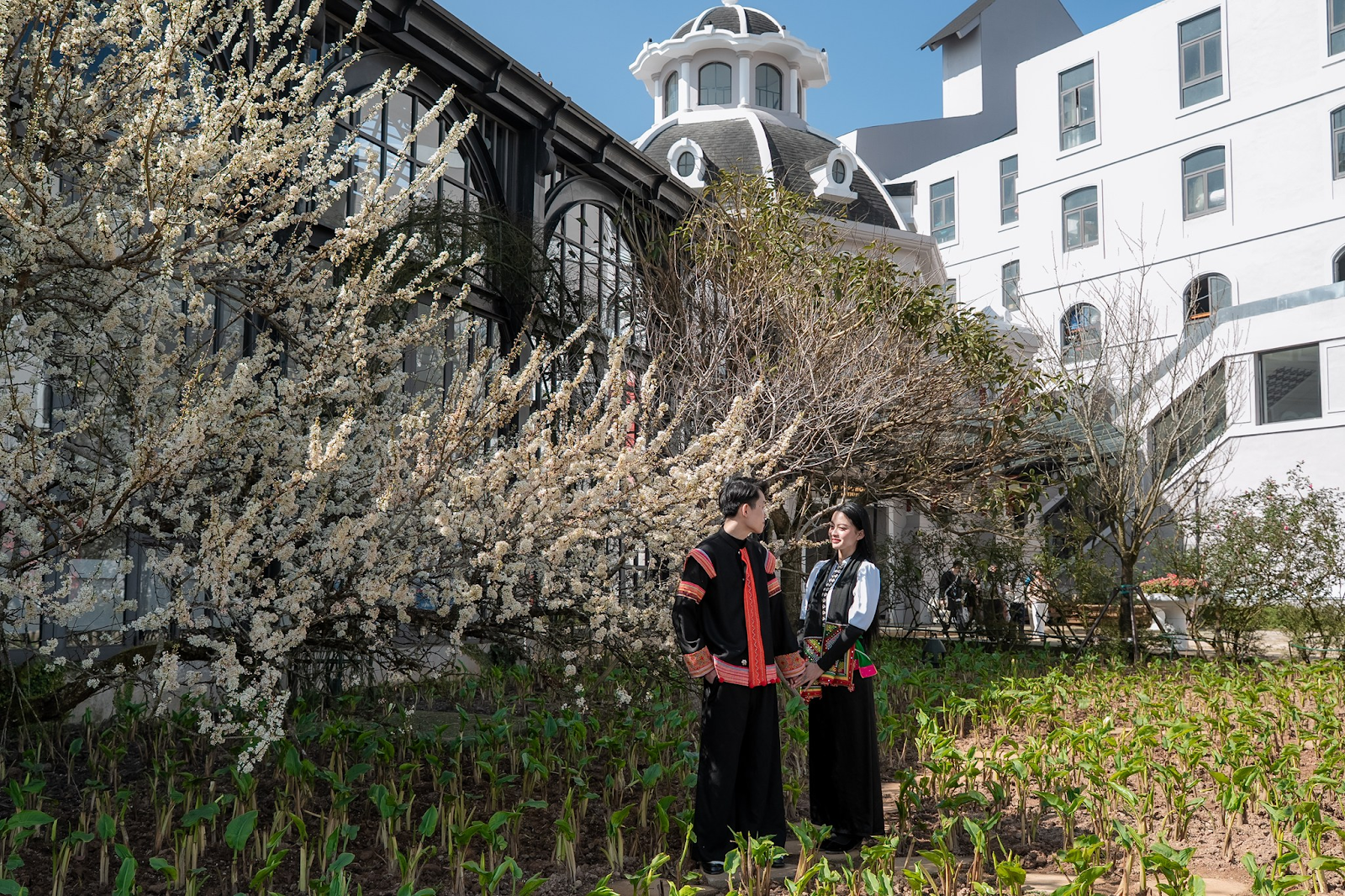 Khung cảnh mùa xuân đẹp nên thơ thu hút nhiều du khách du lịch Sa Pa dịp Tết