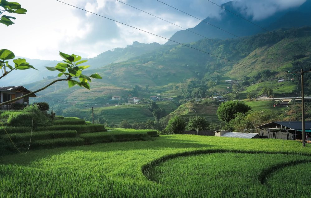 Ruộng bậc thang ôm theo sườn núi và những mái nhà nằm giữa thung lũng tạo nên vẻ bình yên của bản Tả Van. (Nguồn: Sưu tầm)