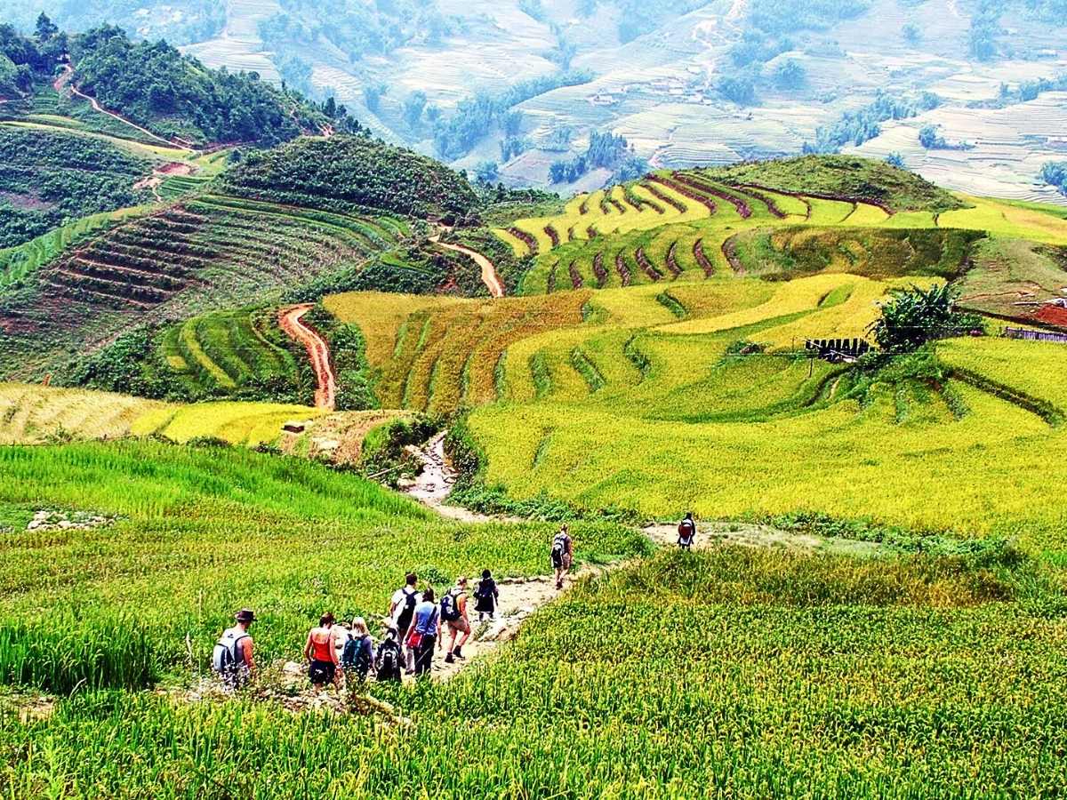 Không gian thiên nhiên ruộng bậc thang mang lại cảm giác thư giãn trong từng bước trekking. (Nguồn: Sưu tầm)