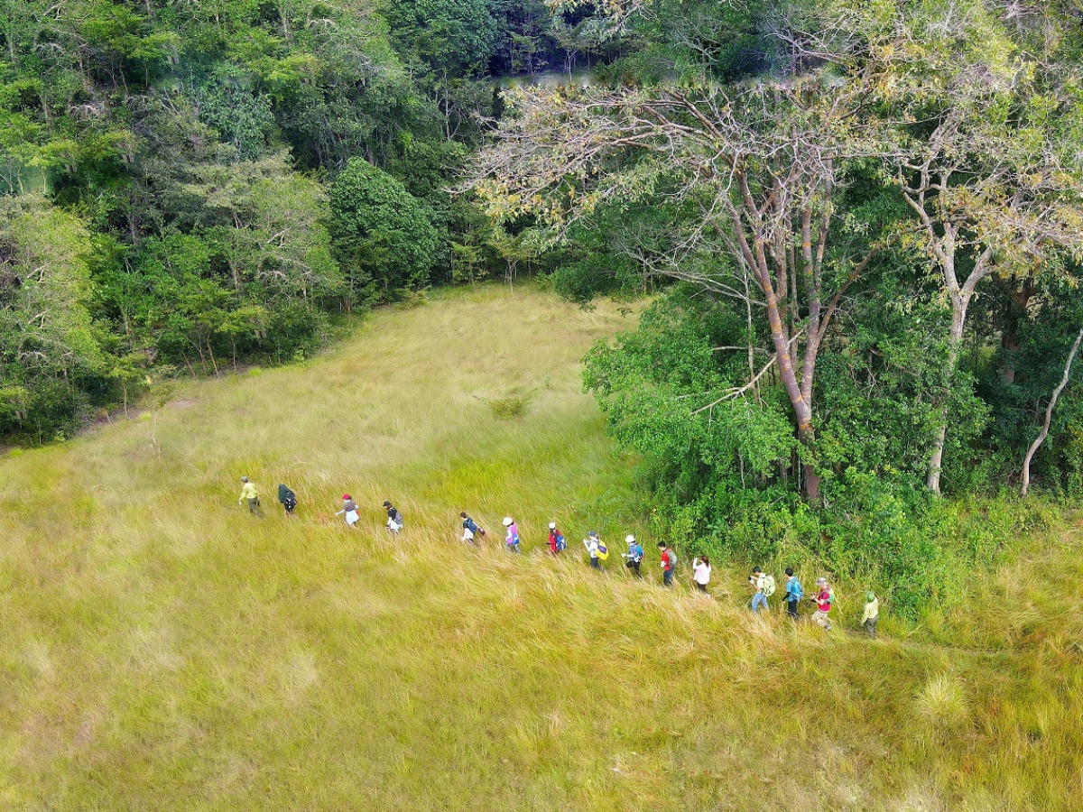 Trải nghiệm trekking qua rừng nguyên sinh tại vườn quốc gia Lò Gò Xa Mát
