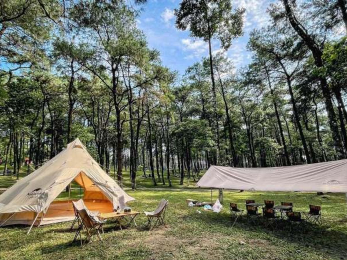 Cắm trại là hoạt động ưa thích của du khách.